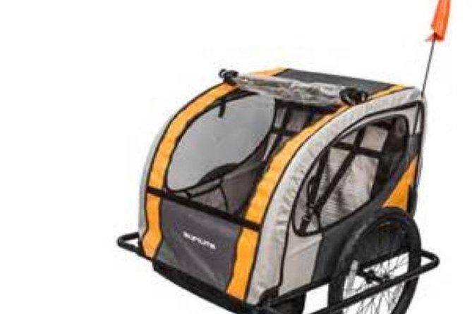 Chicago Full Day Bike Rental - The Physical Requirement and Comfort Level