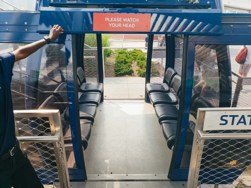 Chicago: Navy Pier Centennial Wheel Ticket - The View: Chicago Skyline and Lake Michigan