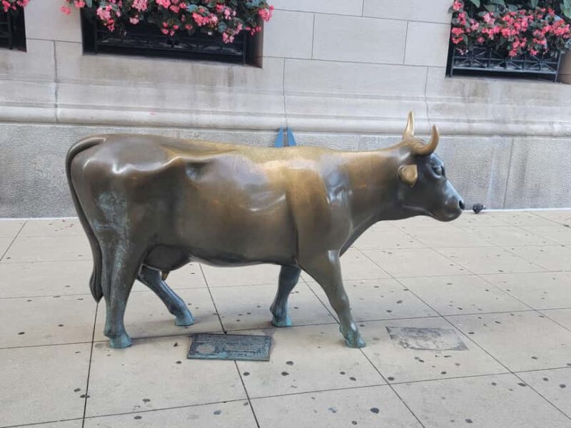 Chicago Scenic Driving Tour - Exploring Millennium Park and Cloud Gate