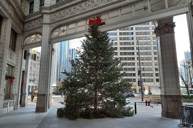 Chicago Seasonal Stroll Walking Tour of Holiday Attractions - Millennium Parks Ice Rink and Daley Bicentennial Plaza