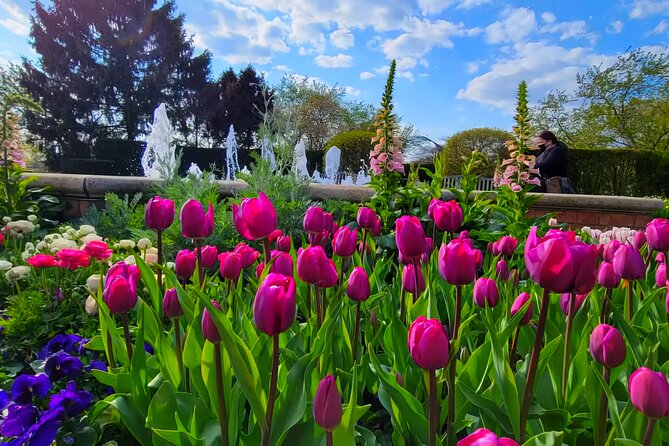 Chicago Suburbs Hidden Gems: Small-Group Exploration Tour - Shopping and Lunch at Westfield Old Orchard Center