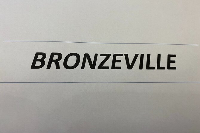 Chicago Tour - South Side - Explore Chicagos South Side for $125 per person in 4 hours
