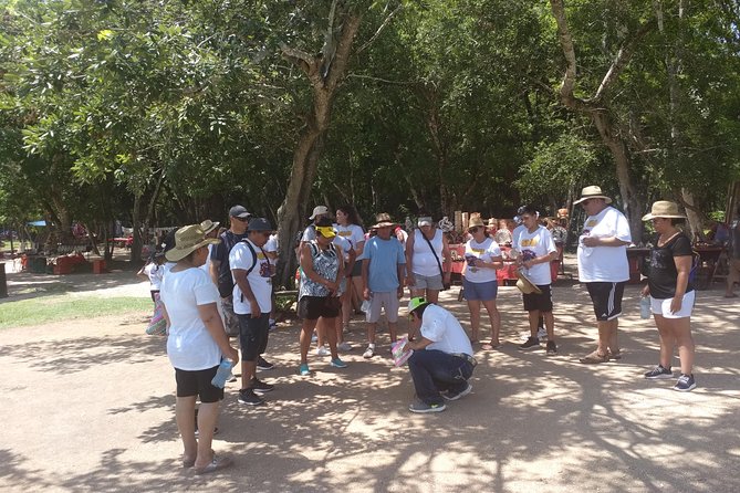 Chichen Itza Basic Tour: Sacred Cenote, Lunch, and Valladolid - Pickup and Logistics from Playa del Carmen