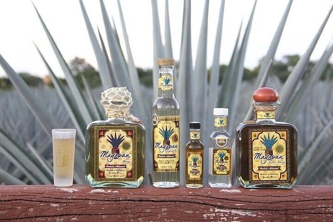 Chichen Itza, Cenote, Tequila and Valladolid Tour from Cancun - Why Choose This Tour Over Others?