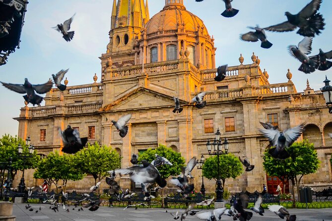 Chichenitza + Cenote + Valladolid + Lunch - Who Will Appreciate This Tour Most