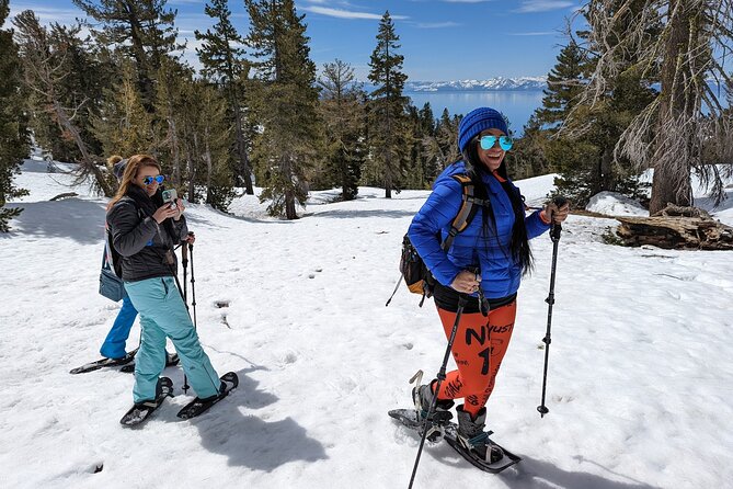 Chickadee Ridge Beginner Snowshoe Activity - Discover the Charm of Chickadee Ridge Snowshoe Adventure
