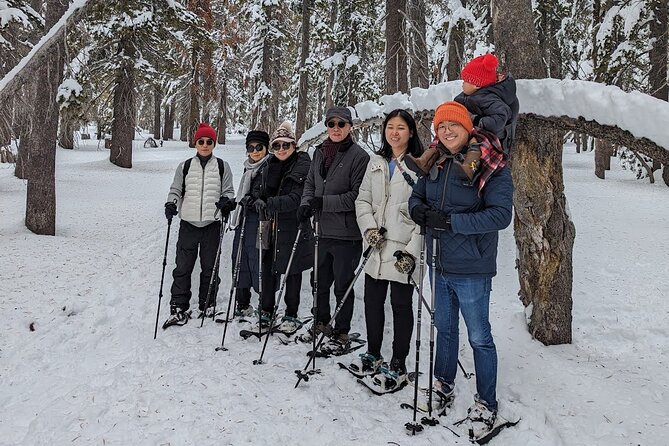 Chickadee Ridge Beginner Snowshoe Activity - The Scenic Trails of Chickadee Ridge and Mt. Rose Meadows