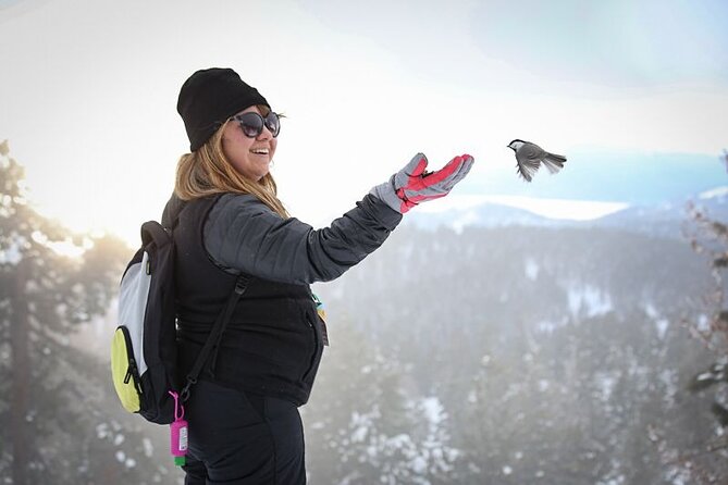 Chickadee Ridge Beginner Snowshoe Activity - Small Group Size for a Personalized Experience