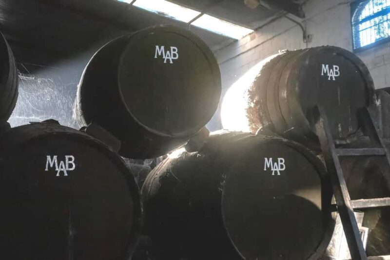 Chiclana de la Frontera: Winery Tour with Wine Tasting - Key Points