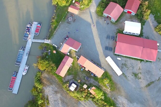 Chilkat River Jet-Boat Adventure in Haines - The Experience Begins with a Scenic Drive into the Chilkat Bald Eagle Preserve