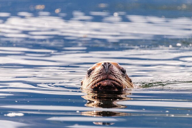 Chilkoot Lake Kayaking - Departing From Skagway - Scenic Transfer by High-Speed Catamaran