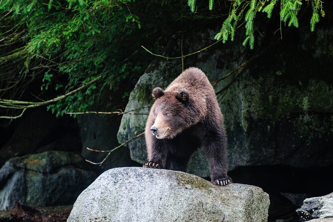 Chilkoot Lake Kayaking - Departing From Skagway - Visiting the Pristine Chilkoot Lake State Park