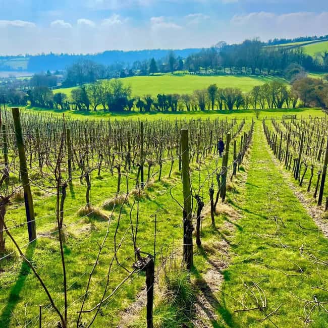 Chilterns: All inclusive Vineyard Tour with Tastings & Lunch - Booking Flexibility and Cancellation Policy