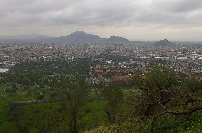 Chinampas Eco Immersion Mexico City - Included Meals and Practical Tips for the Tour