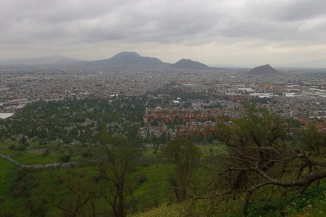 Chinampas Eco Immersion Mexico City - Managing Logistics and Timing