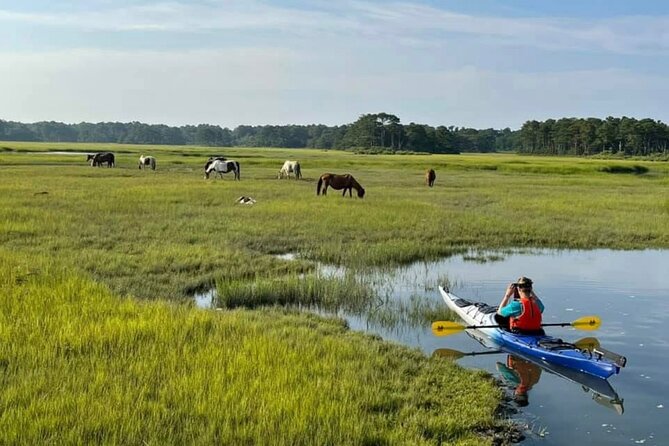 Chincoteague Kayak Rentals around Assateague Island - The Convenience of Meeting at East Side Road in Chincoteague