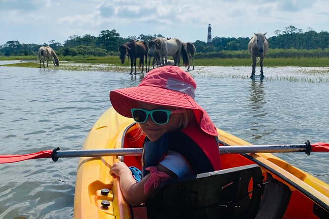 Chincoteague Kayak Rentals around Assateague Island - The Sum Up: A Practical Choice for Nature Lovers