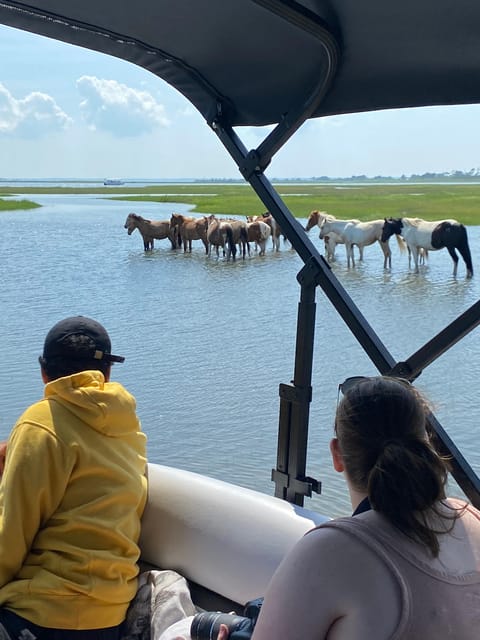 Chincoteague: Premier Pony & Wildlife Small Group Boat Tour - Discover the Chincoteague Pony and Wildlife Boat Tour for an Up-Close Adventure