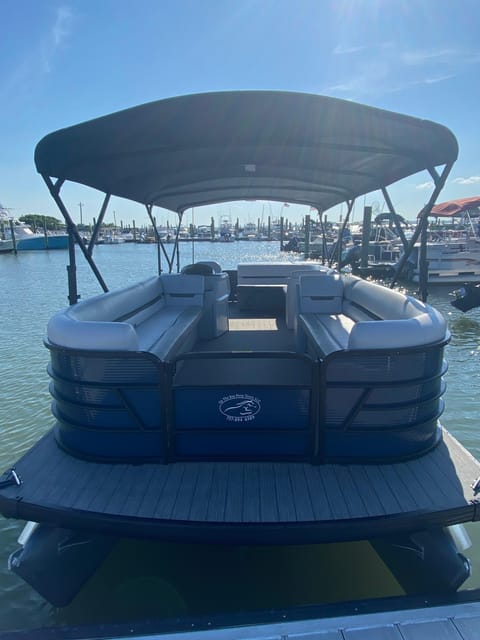 Chincoteague: Premier Pony & Wildlife Small Group Boat Tour - Luxury and Comfort on Modern Boats