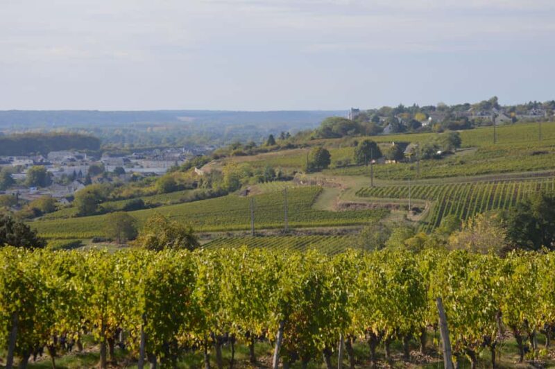 Chinon : Discovery Tours and Wine Tasting - Tasting Six Chinon AOP Wines with Local Flavors