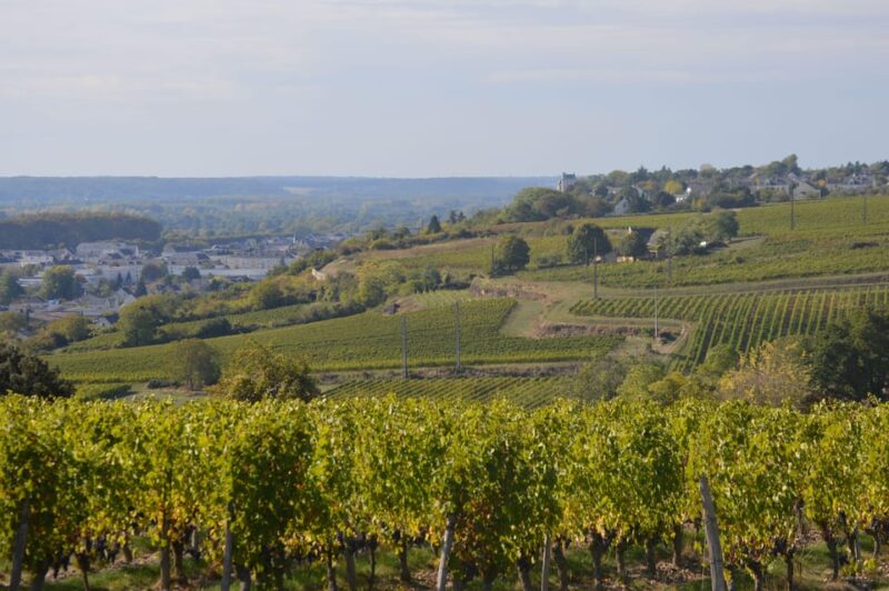 Chinon : Discovery Tours and Wine Tasting - Why This Tour Stands Out in Chinon