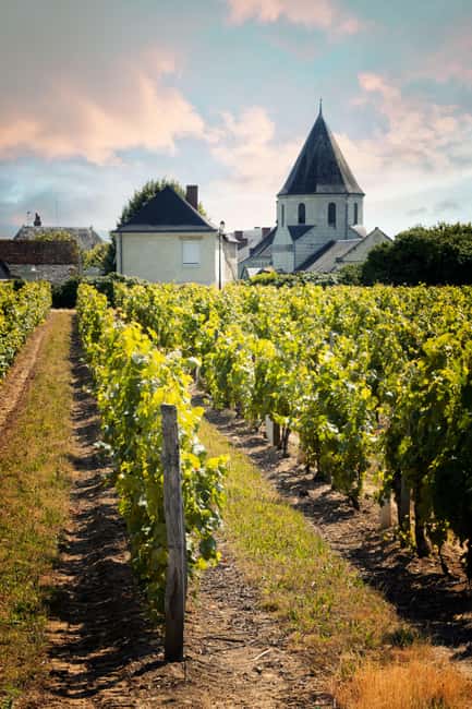 Chinon : Prestige Tours and Wine Tasting - Tasting 6 Chinon AOP Wines with Local Delicacies