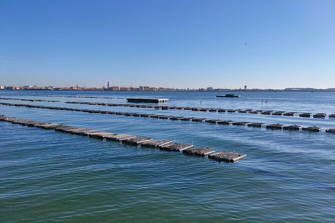 Chioggia : Aquaculture Secrets Tours of the Lagoon - Beginning at Chioggia’s Wharf: The Tour’s Starting Point