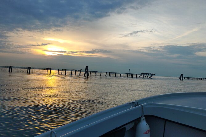 Chioggia : Aquaculture Secrets Tours of the Lagoon - The Multilingual Guide: Sharing Knowledge in Multiple Languages