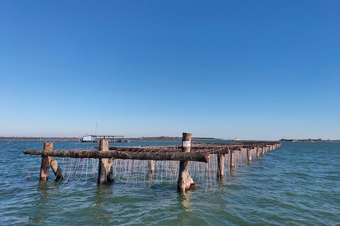 Chioggia : Aquaculture Secrets Tours of the Lagoon - Practical Details: Group Size, Cancellation, and Booking