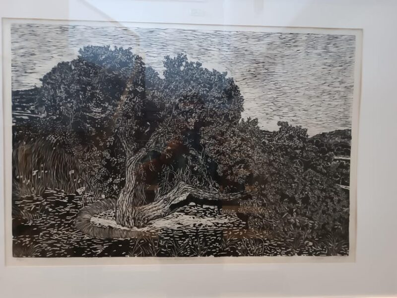 Chios: Mastiha shore excursion - Visiting Kallimasia, Mesta, and Pyrgi