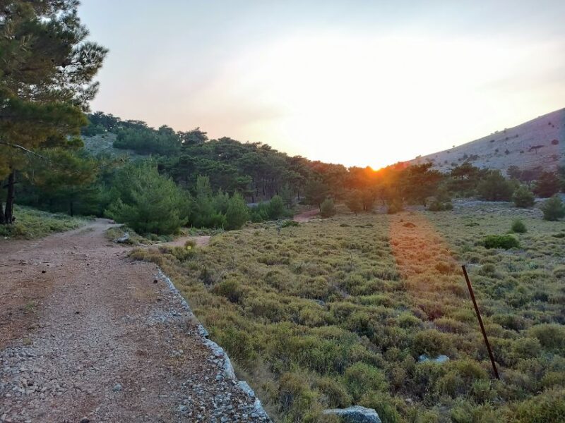 Chios: Private Sunset Hiking Tour to Lithi beach - The Charm of Lithi’s Coastal Environment