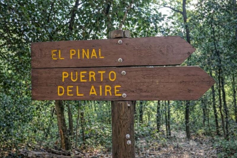 Chipinque Basic Hike: Guided Hiking in the Sierra Madre - Key Points