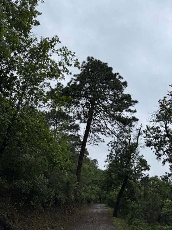 Chipinque Natural Park - Morning / Afternoon Hike - The Scenic Views of Monterrey from the Sierra Madre