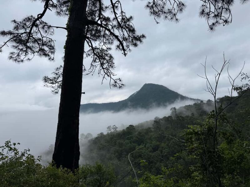 Chipinque Natural Park - Morning / Afternoon Hike - Logistics: Group Size, Guides, and Pickup