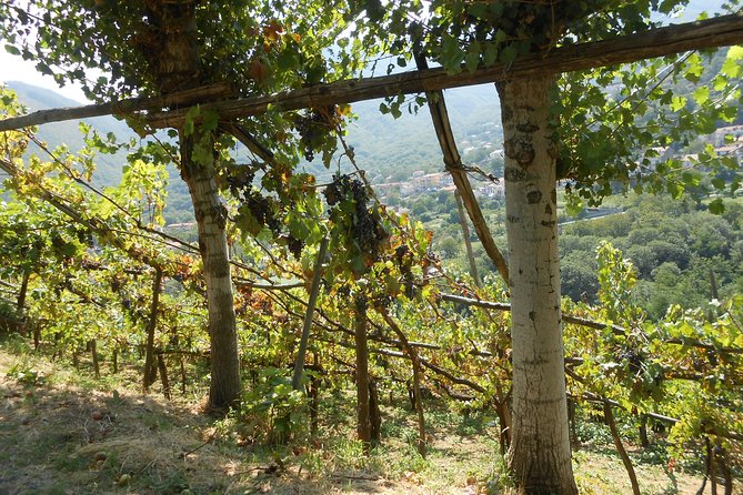 Chiunzi Pass loop by bicycle - The Guide: Knowledgeable and Supportive