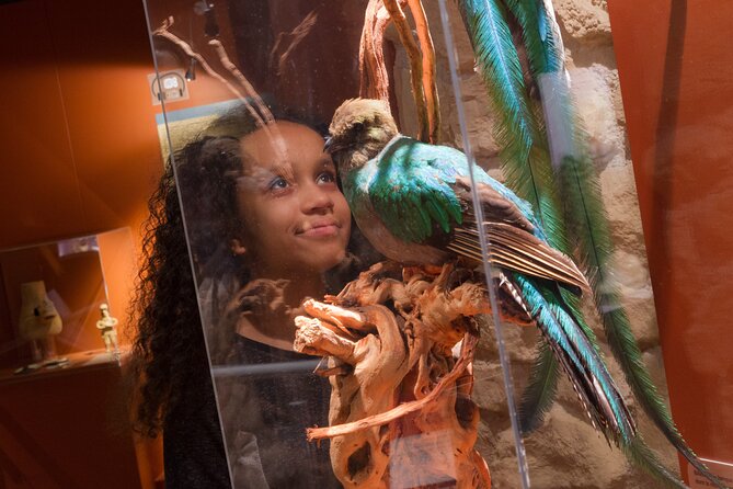 Choco-Story Paris - The Chocolate Museum - Discover the Delicious World of Chocolate at Choco-Story Paris