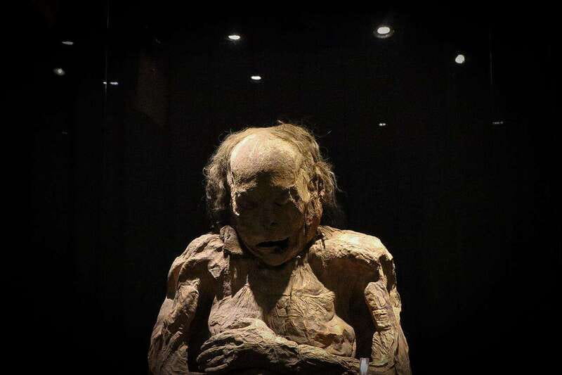 Christ the King Traveling Mummies VS El Santo and Catrinas - Highlights of the Guide’s Approach and Guest Experience