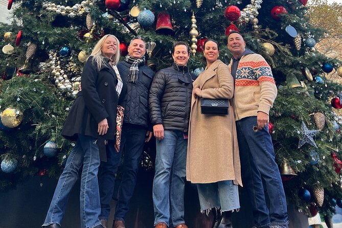 Christmas Holiday Lights Private Tour - Key Points