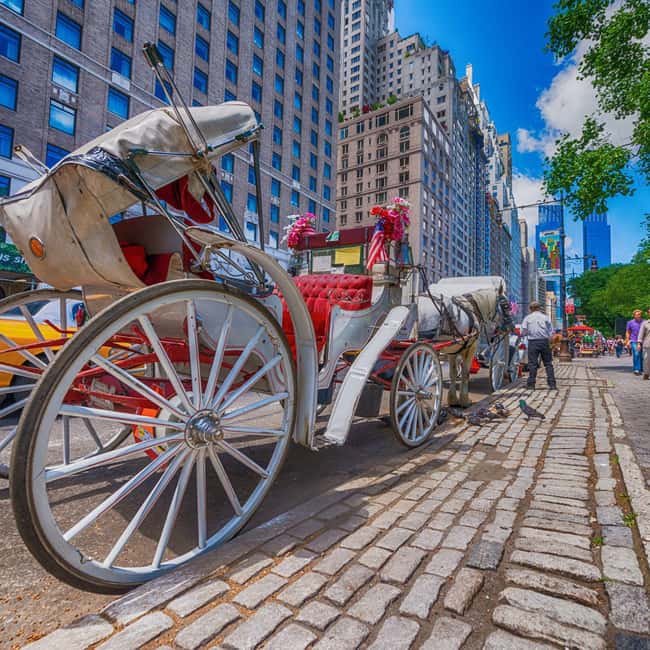 Christmas in Central Park: Horse Carriage Holiday Tour - The Starting Point: Meeting in Front of the New York Athletic Club