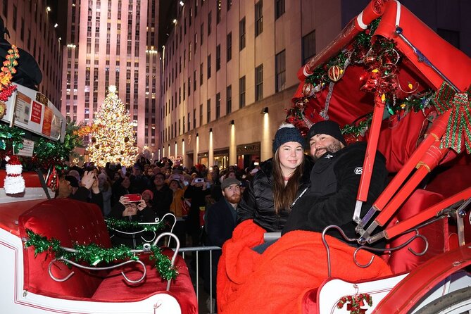 Christmas Light Private Carriage Ride New York City - Starting Point and How to Meet