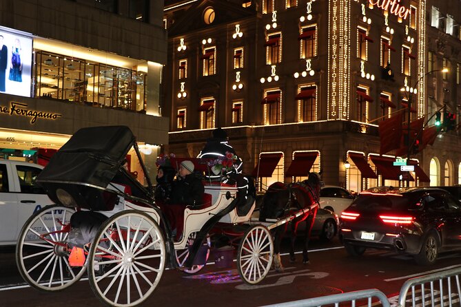 Christmas Light Private Carriage Ride New York City - Amenities and Comfort During the Ride