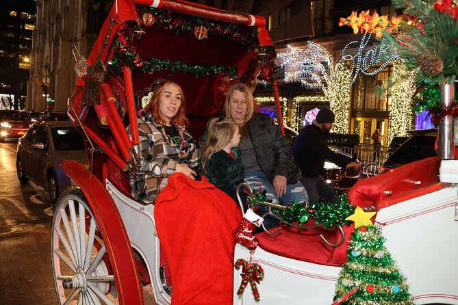 Christmas Light Private Carriage Ride New York City - Overall Experience and Suitability