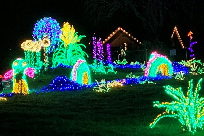 Christmas Lights and Snowflake Lane photo tour - The Sum Up: A Sparkling Holiday Snapshot in Seattle