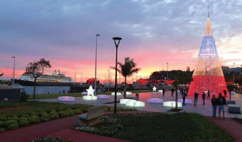 Christmas Lights in Funchal Tuk Tuk Tour - Exploring Funchal’s Christmas Lights by Tuk Tuk