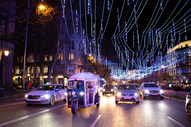 Christmas Lights Tour in Madrid in Private Eco Tuk Tuk - Booking, Flexibility, and Additional Information