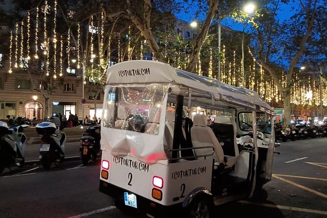 Christmas Lights Tour of Barcelona in Private Eco Tuk Tuk - Who Will Enjoy the Christmas Lights Tour Most