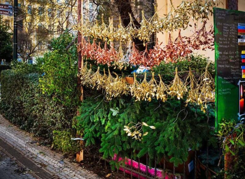 Christmas Stories in Kutna Hora Walking Tour - Best Suited For Holiday Week Visitors and Architecture Enthusiasts