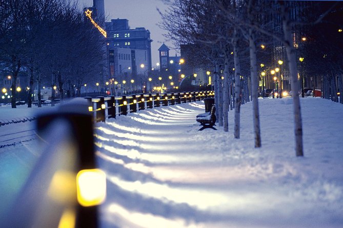 Christmas Walking Tour in Old Montreal - Concluding the Christmas Walking Tour Experience