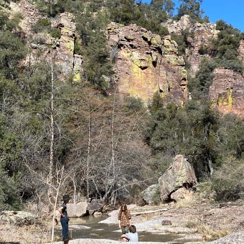 Chrysotile Arizona: Moon Canyon Off-Roading and Hiking Tour - Explore Arizona’s Tonto National Forest on a 3-Hour Off-Roading and Hiking Adventure