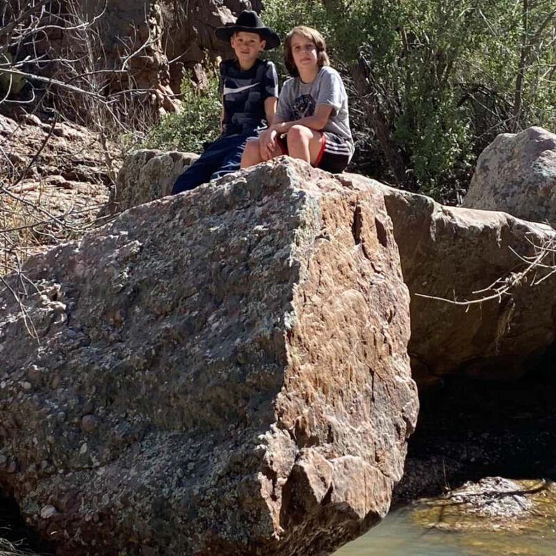 Chrysotile Arizona: Moon Canyon Off-Roading and Hiking Tour - Wildlife and Desert Plants on the Tour